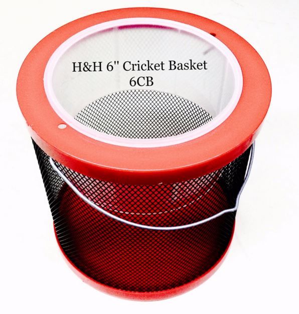Cricket Cage 6"x6"