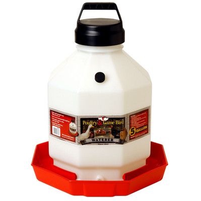 Poultry waterer 5 GALLON