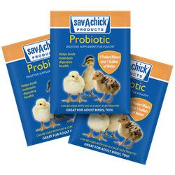 Sav A Chick Probiotic