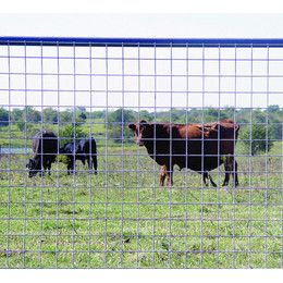 Wire Panel Goat 48"X16'