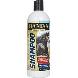 Banixx Medicated  Shampoo 16 oz