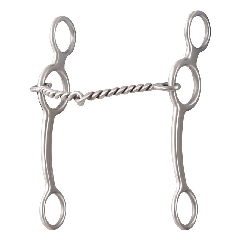 Ring Gag Shank Bit