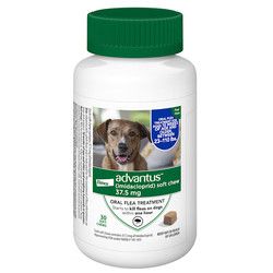 Advantus 37.5Mg Soft Chew Large Dog EACH