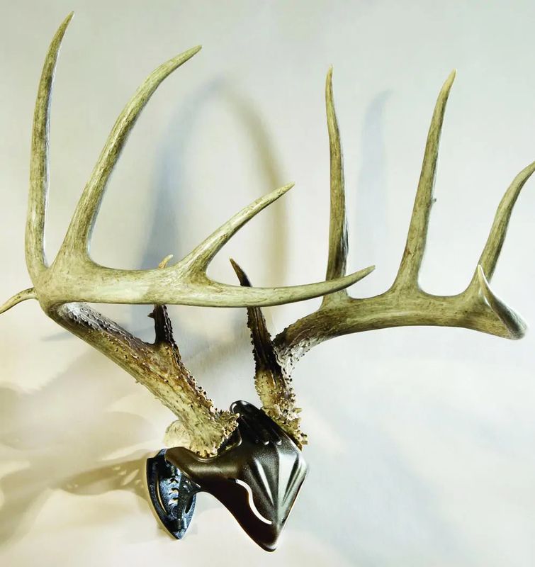 Skull Wall Mount Combo