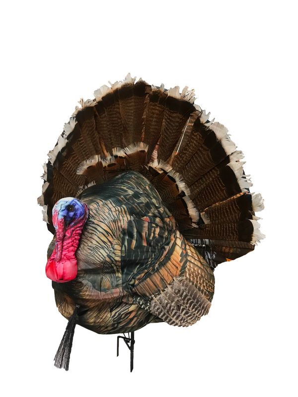 Montana Wiley Tom 3D Decoy