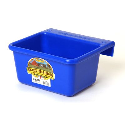 Mini Feeder Plastic Blue 6QT