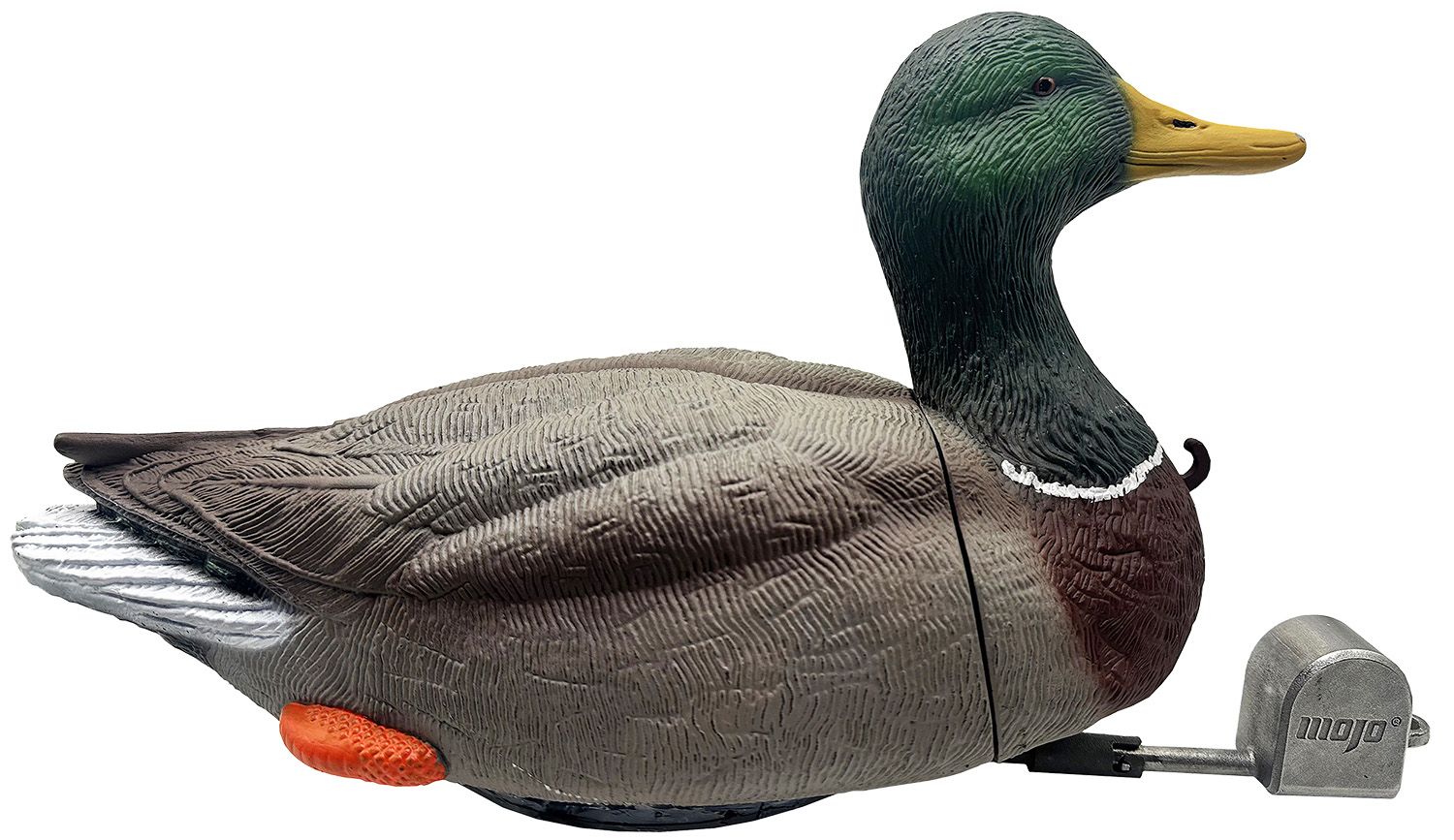 Mojo  HW2554 Dabbler Duck Mallard