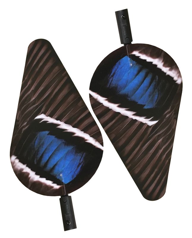 Lucky Duck Magnetic Wing Set