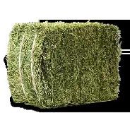 Alfalfa Hay Bale 50#