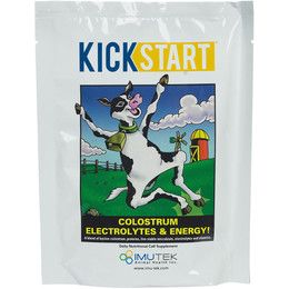 Kick Start 100G
