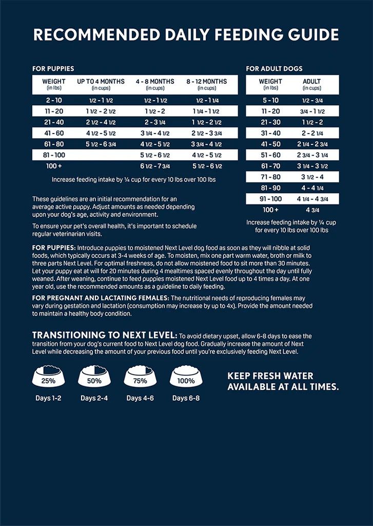 Next Level Salmon River 40#