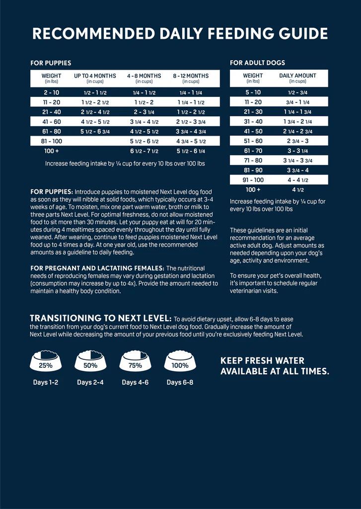 Next Level Hi Pro 30-20 4#