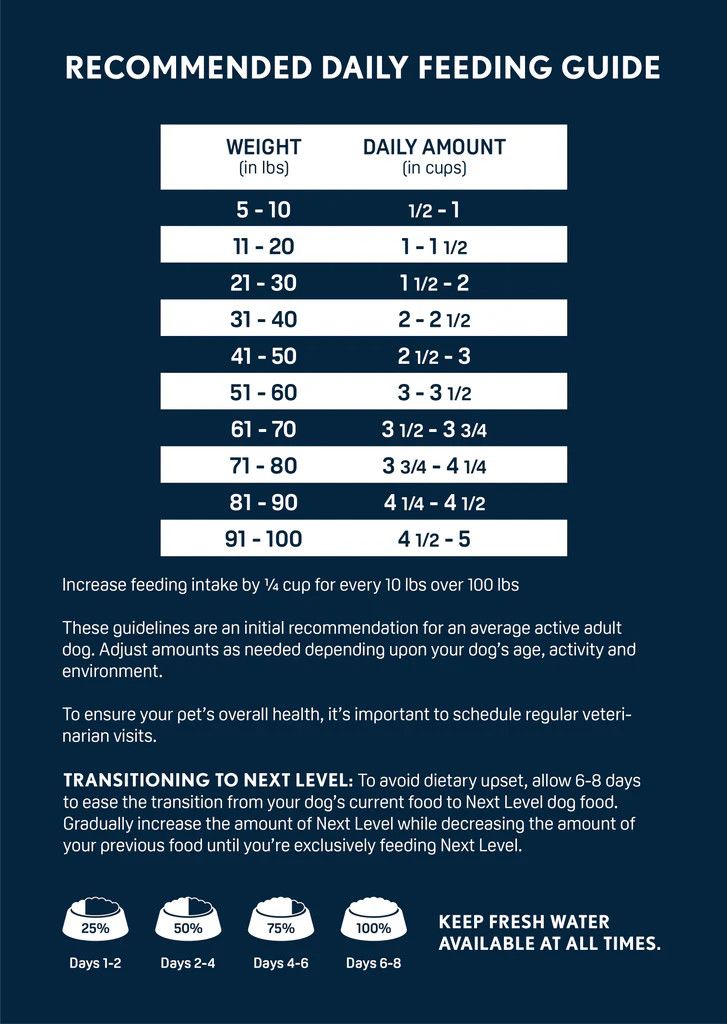 Next Level Active Adult 40#