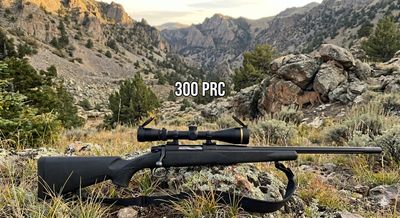 300 PRC
