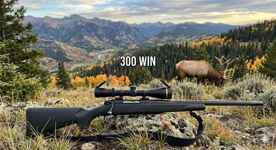 300 WIN MAG