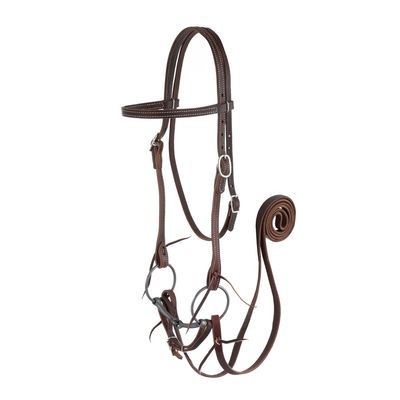 Bridle