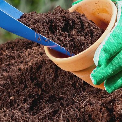 Potting Soil
