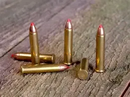 22 WMR