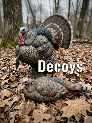 Decoy