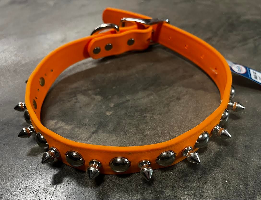  Zeta Spike Dog Collar 1" x 22", Color: Orange