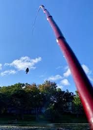 12'-14' Cane Pole Orange Tag