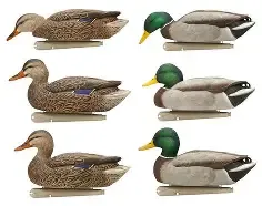 Avian X Fusion Mallards 6 Pack