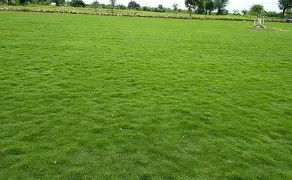 Bermuda Hulled Coated 50#