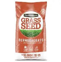 BermudaGrass  Pennington 5#