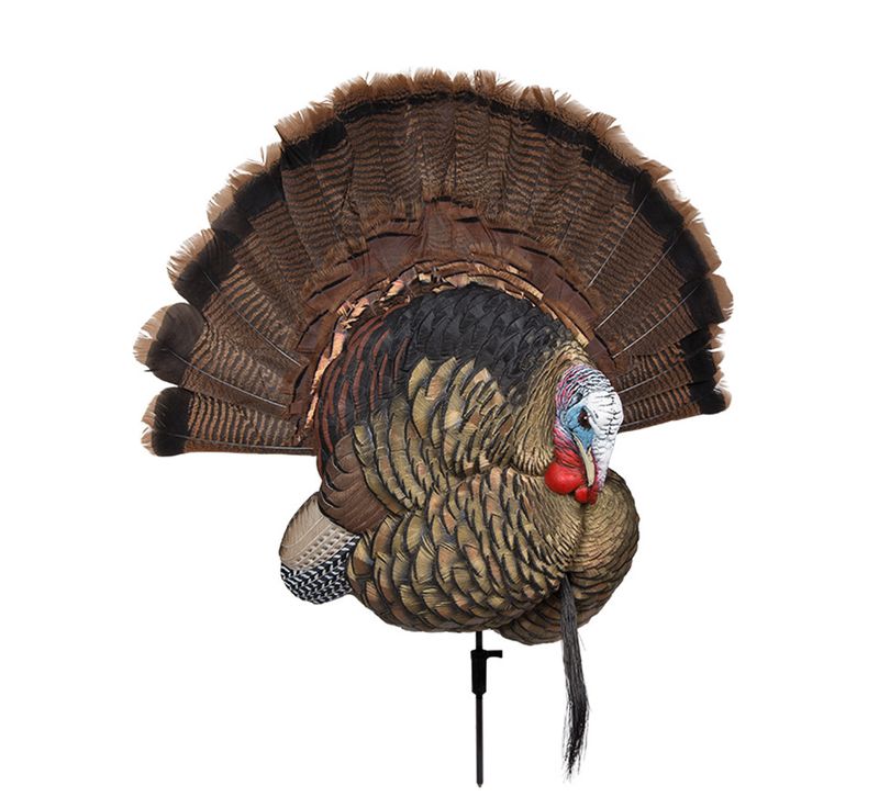 Avian X Trophy Tom Decoy Turkey Decoy