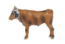 BCT Bagged Roping Steer