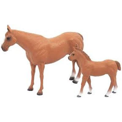 BCT Quarter Horse Mare &amp; Colt