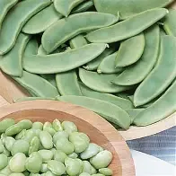 Fordhook Lima Bean Bush 1/2#