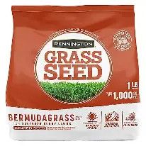 Bermuda Grass Seed Coated 1#