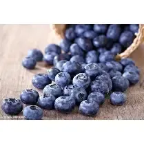 Blueberry Powder Blue 3 gal