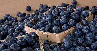 Blueberry Prince 3 Gal