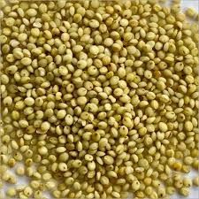 Brown Top Millet  50#