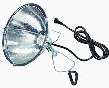 brooder reflector lamp &amp; shield