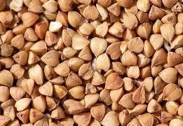 Buck Wheat Seed 50#