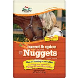 Carrot and Spice Nugget