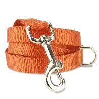 Dog Leash Nylon 1Ply Orange 6'