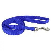 Dog Leash Nylon 1Ply blue 5/8" x 6'