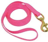 Dog Leash Nylon 1Ply Hot Pink 5/8" x 6'