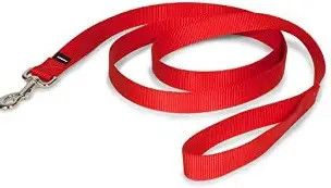 Dog Leash Nylon 1Ply Red 5/8" x 6'
