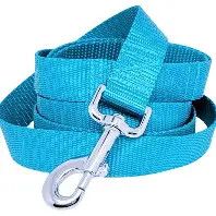Dog Leash Nylon 1Ply Turquoise 5/8" x 6'