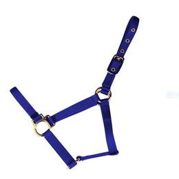 Economy Halter Blue Large