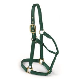 Economy Halter Green Large