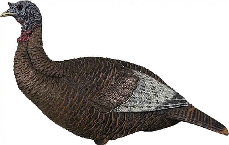 Flextone Thunder Chick Turkey Decoy Upright