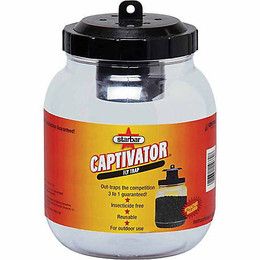 Fly Trap Captivator