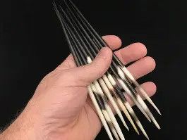 H&amp;H Porcupine Quills 9"