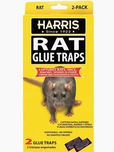 Harris Rat Glue Trap 2 pack